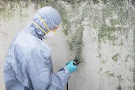 Mold Remediation for Vacation Homes in Raymond, WI